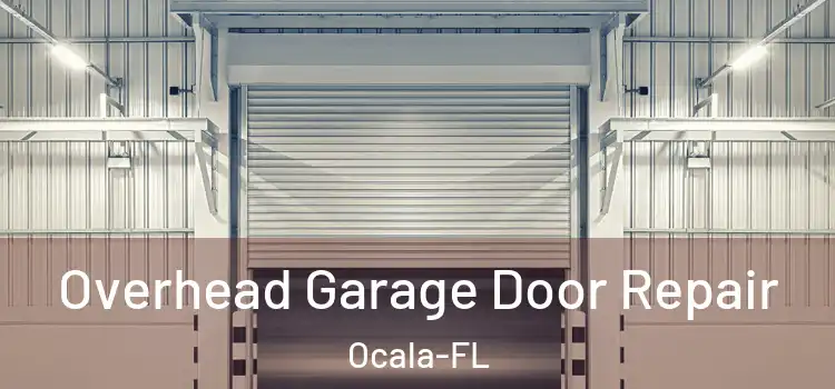  Overhead Garage Door Repair Ocala-FL