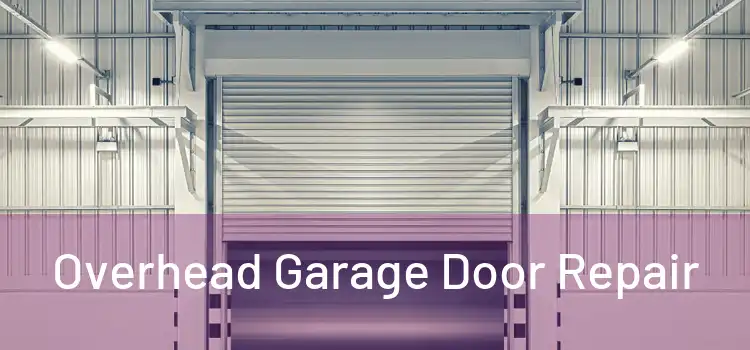  Overhead Garage Door Repair 